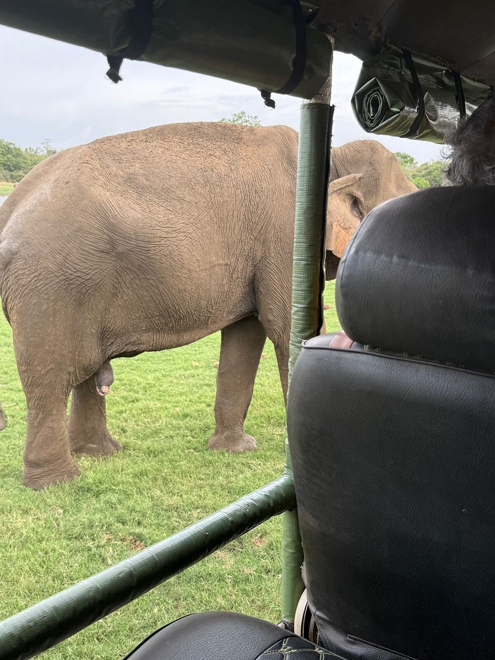 Scenic view at Udawalawe